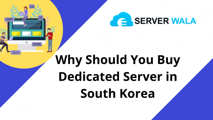 Dedicated Server South Korea