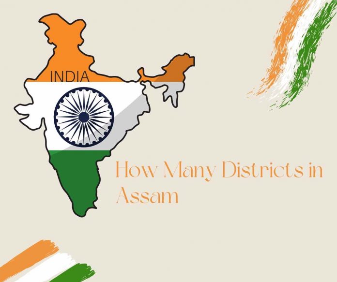 How Many Districts in Assam