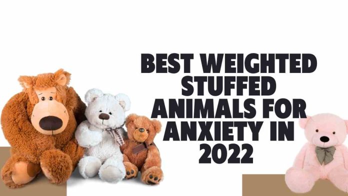 Best weighted Stuffed Animals for Anxiety in 2022 