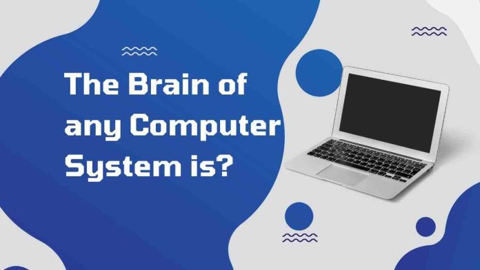 The Brain of any Computer System is?
