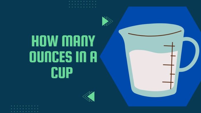 How many ounces in a cup - Conversion with Best Guide