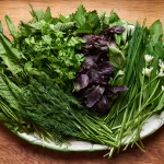 Herb Vegetables: A Healthy and Flavorful Addition to Your Diet